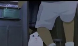 产房密语在线观看,揭秘生育背后的真实故事