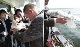 大理记者爆料新闻最新,揭秘当地最新热点事件